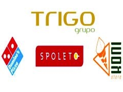 Grupo Trigo